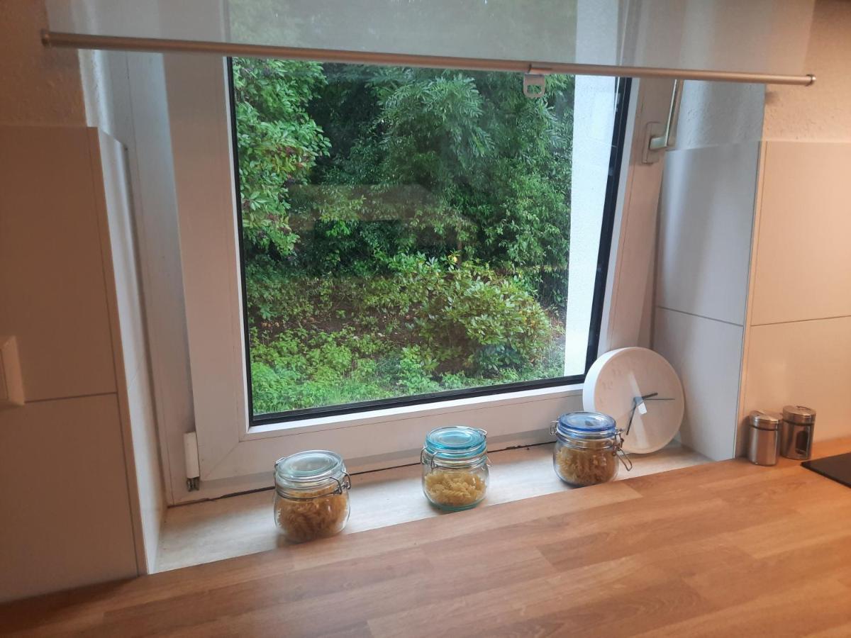 Precioso Apartamento, Aparcamiento Gratis Augustusburg Eksteriør billede